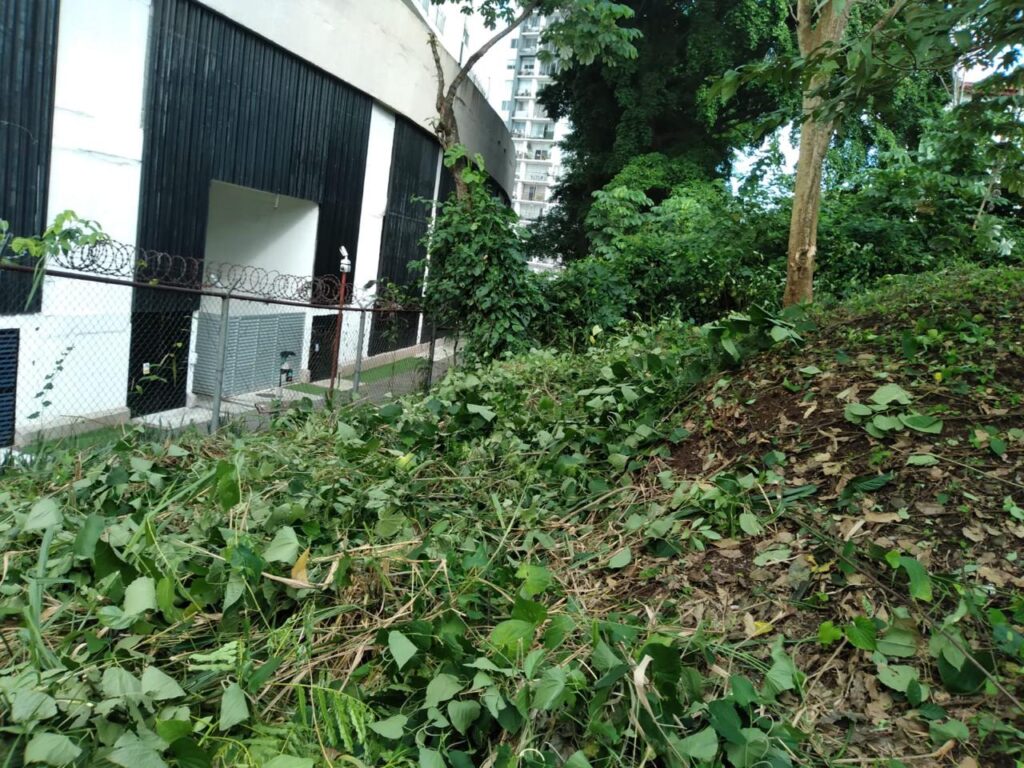 Lote de terreno en Tumba Muerto
