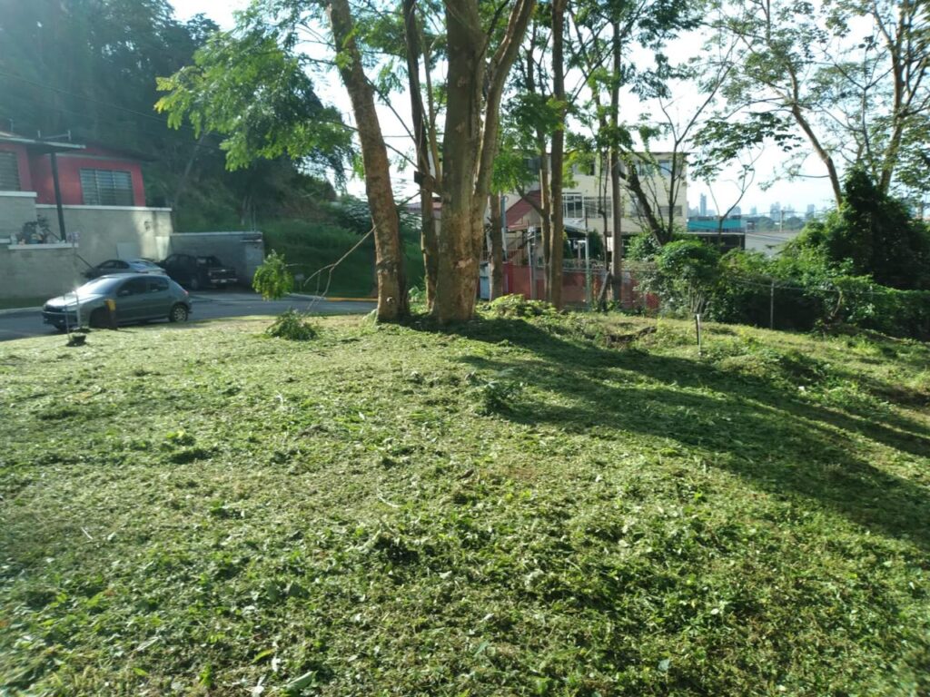 Lote de terreno en Tumba Muerto