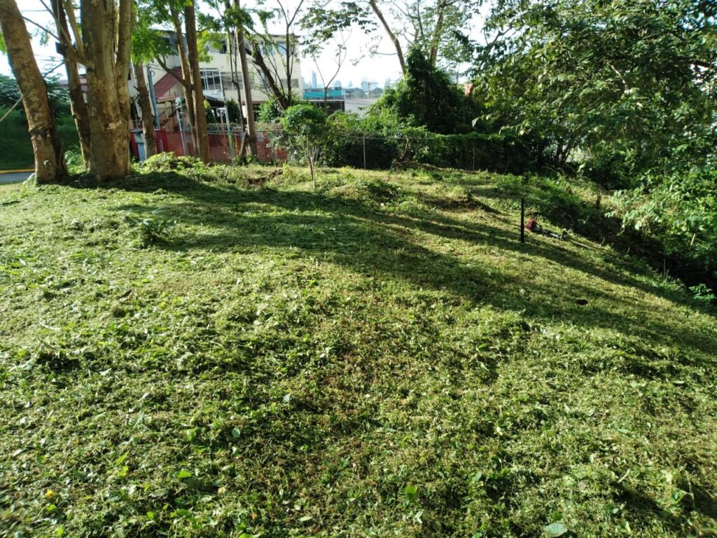 Lote de terreno en Tumba Muerto