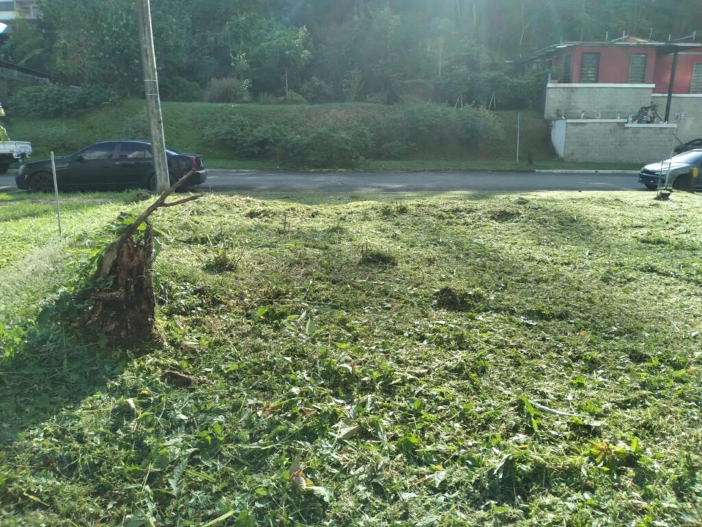 Lote de terreno en Tumba Muerto